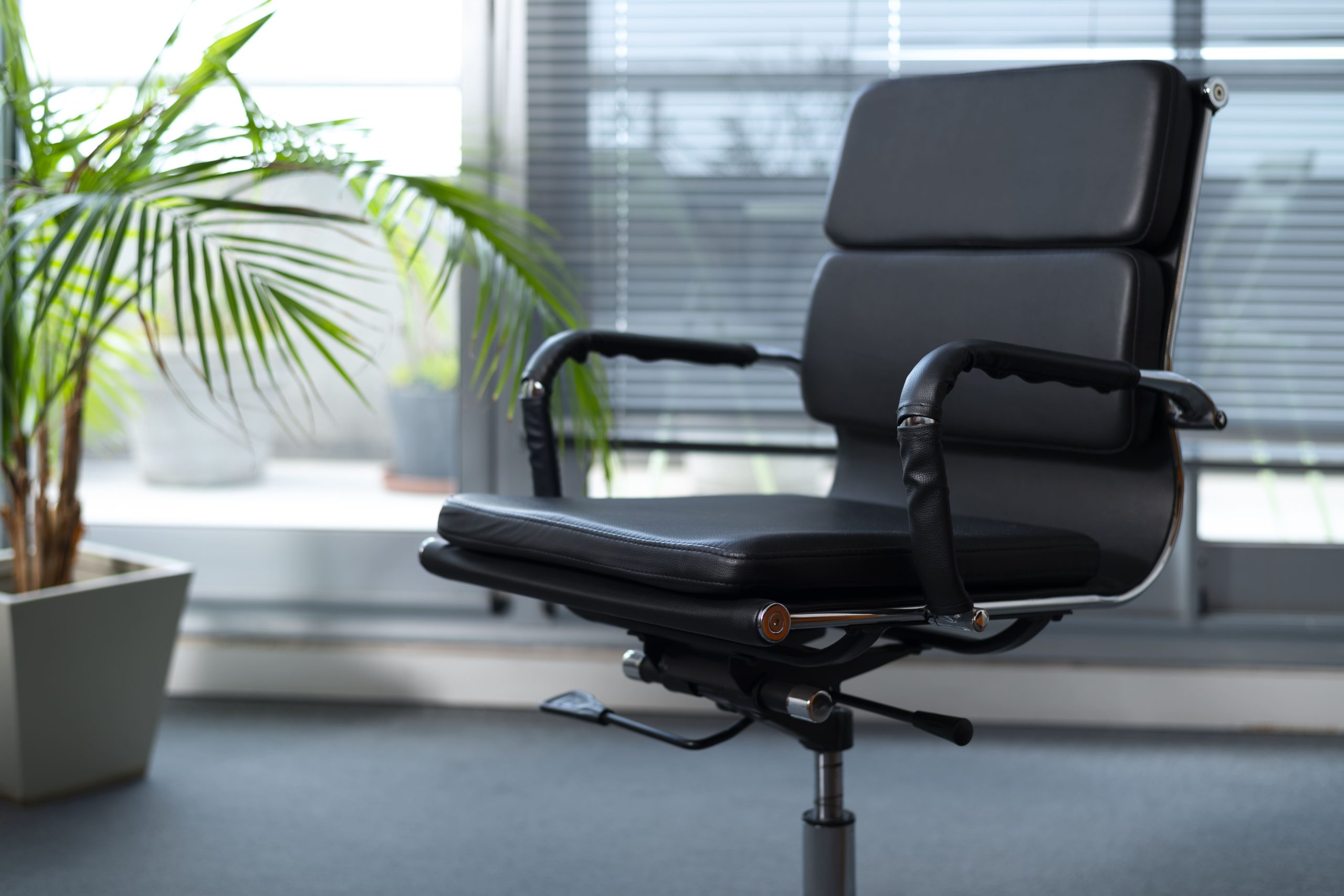 VISION executive chair for guest seating in corporate office